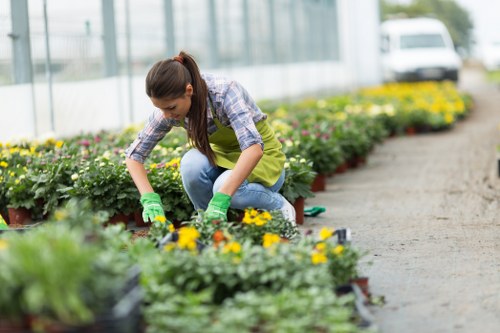 Gardener evaluating a garden before work