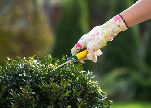 Gardener working in a Lambeth garden