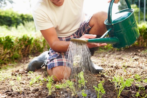 Comprehensive range of gardening services offered by Gardener Lambeth