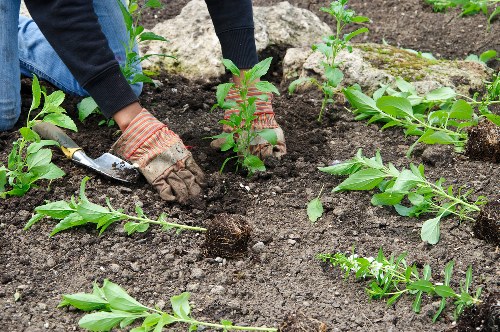 Training session for gardeners on equipment safety