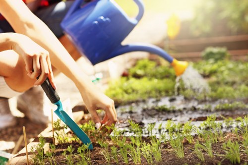 Professional gardener working in a lush Lambeth garden