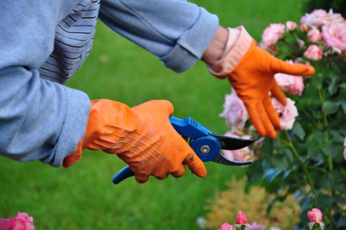 Lambeth gardener maintaining a vibrant garden