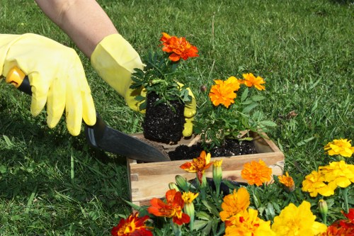 Seasonal gardening services in Lambeth