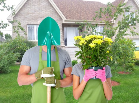 Experienced Lambeth gardener with plants